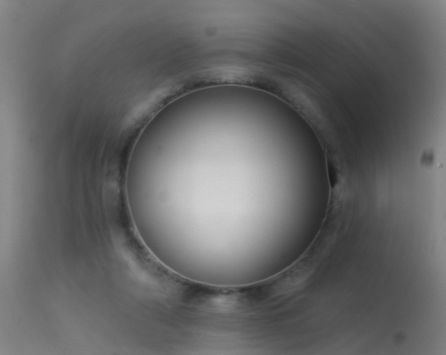 X0000114180306200910151707