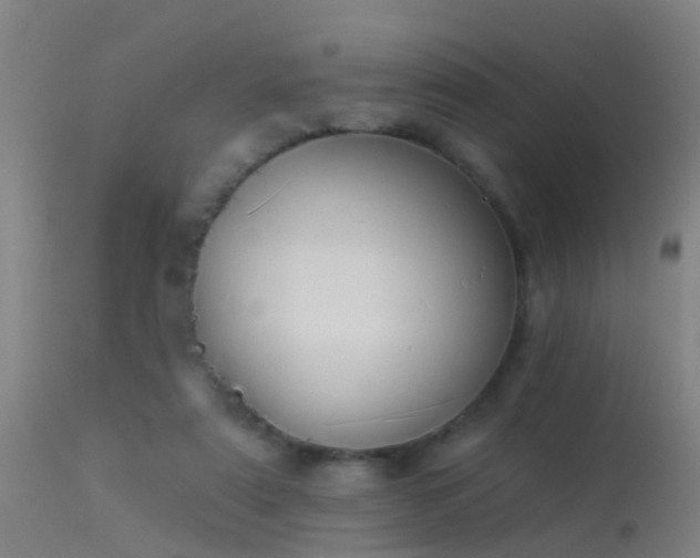 X0000114180307200910151707