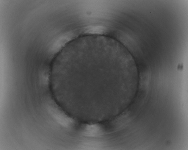 X0000114180309200910151707