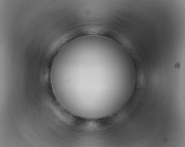 X0000114180310200910151707