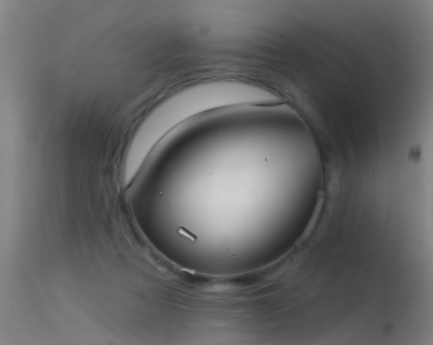 X0000114180313200910151707