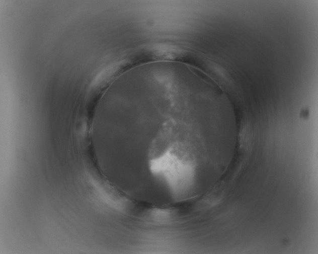 X0000114180314200910151707