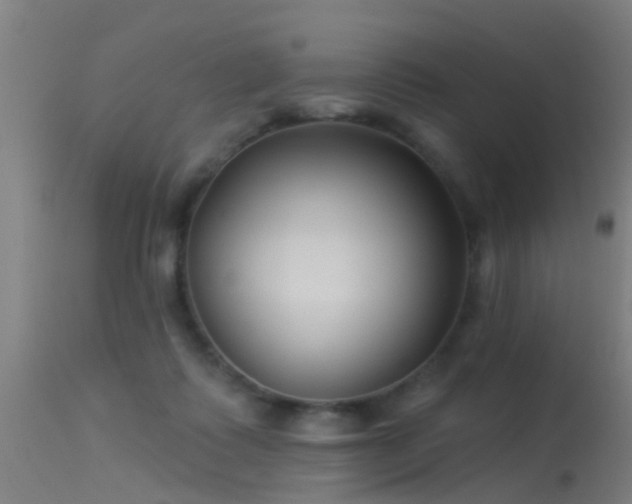 X0000114180315200910151707