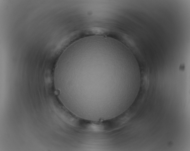 X0000114180317200910151707