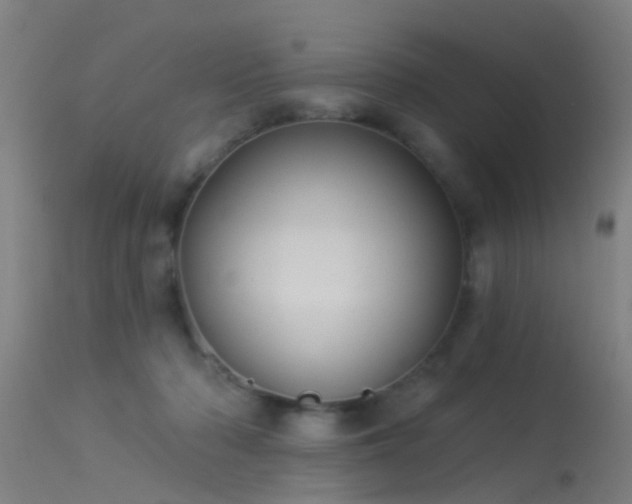 X0000114180318200910151707