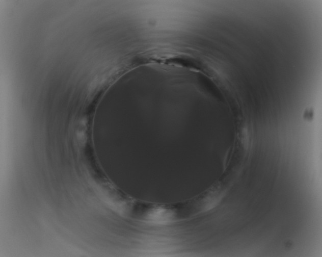 X0000114180319200910151707