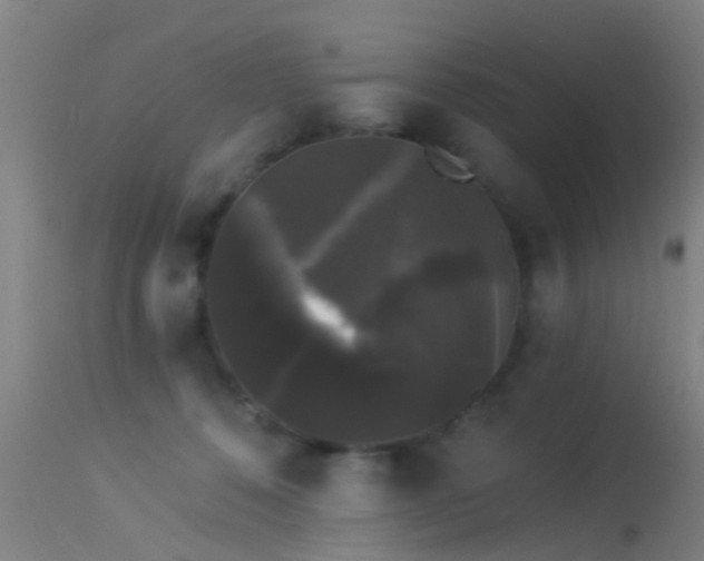 X0000114180320200910151707