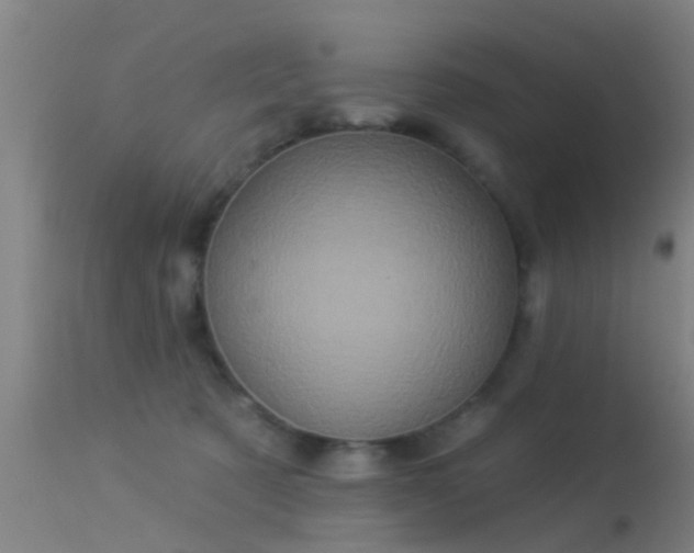 X0000114180321200910151707