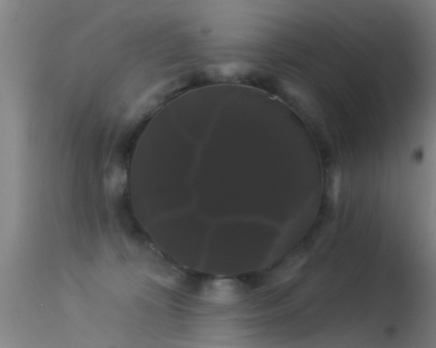 X0000114180324200910151707