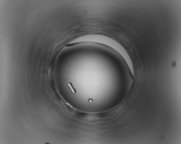 X0000114180327200910151707