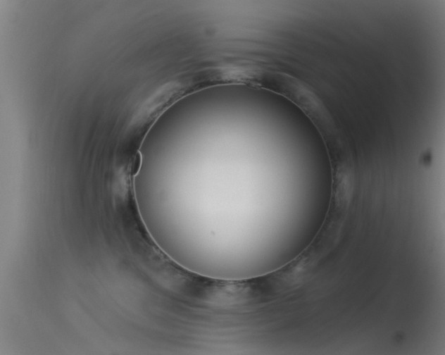 X0000114180329200910151707