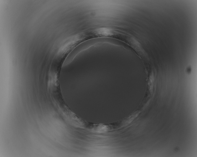 X0000114180330200910151707