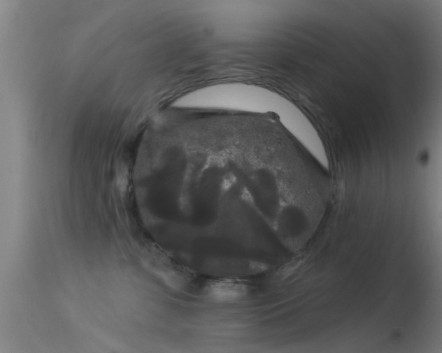 X0000114180331200910151707