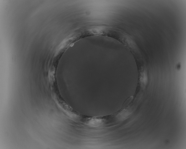 X0000114180332200910151707