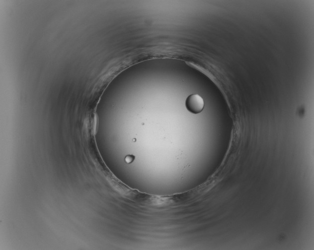 X0000114180333200910151707