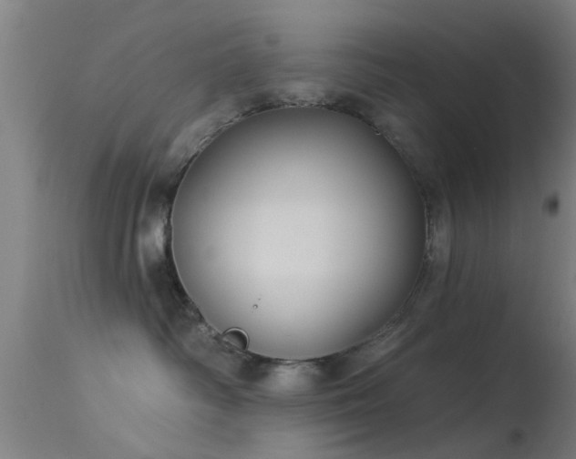 X0000114180334200910151707