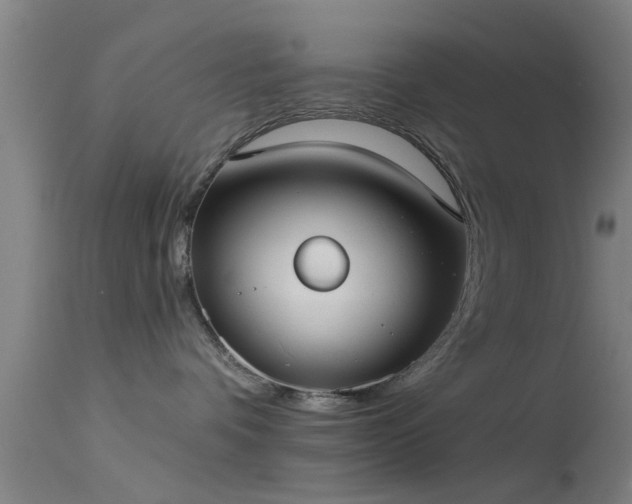 X0000114180336200910151707