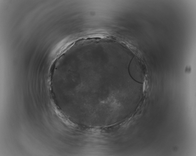 X0000114180339200910151706