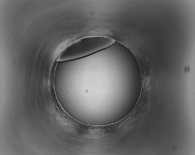 X0000114180340200910151706