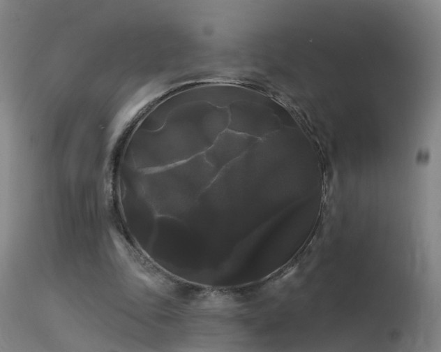 X0000114180343200910151706