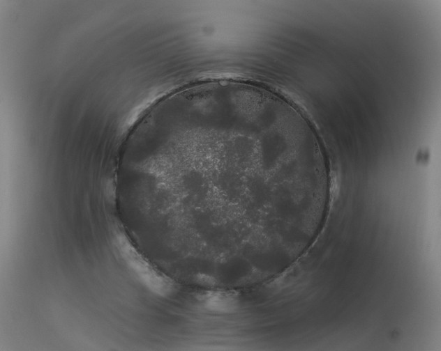 X0000114180345200910151706