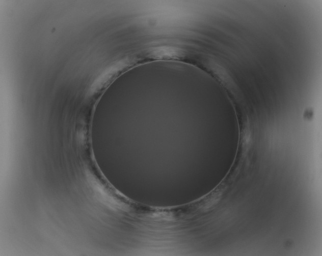 X0000114180353200910151706