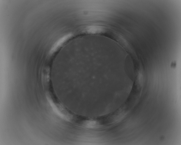 X0000114180356200910151706