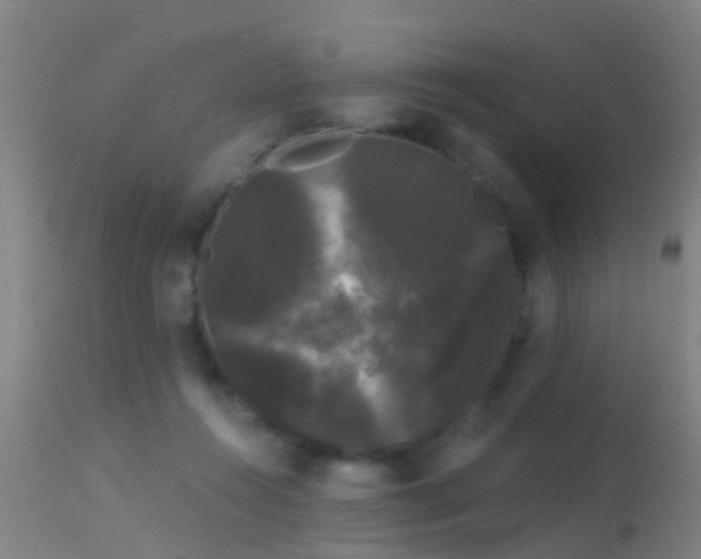 X0000114180360200910151706