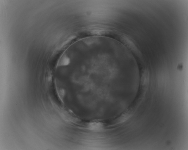 X0000114180363200910151707