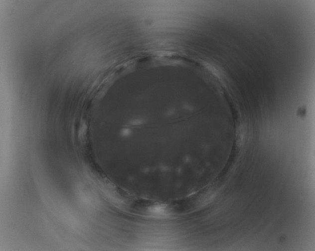 X0000114180365200910151707