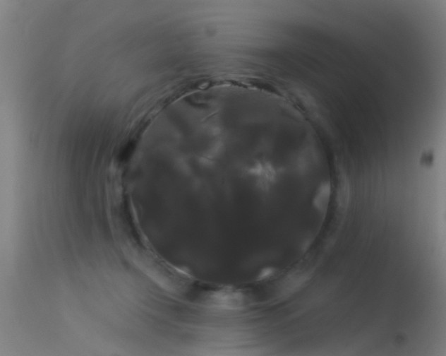 X0000114180366200910151707