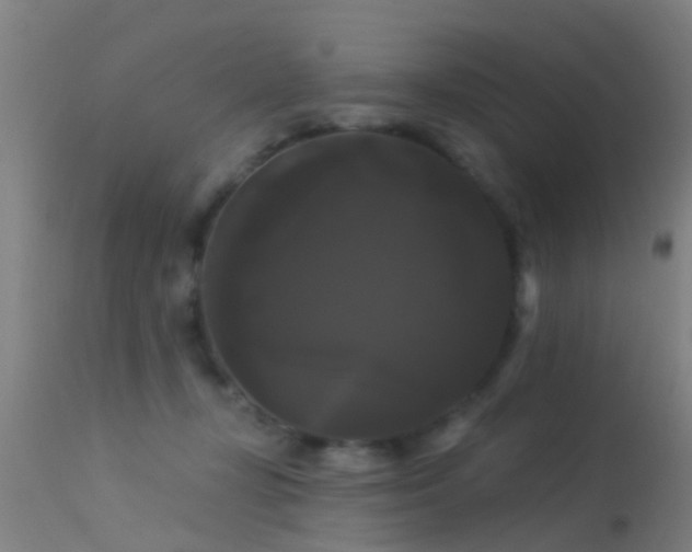 X0000114180367200910151707