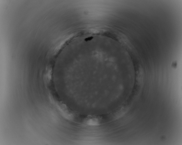 X0000114180368200910151707