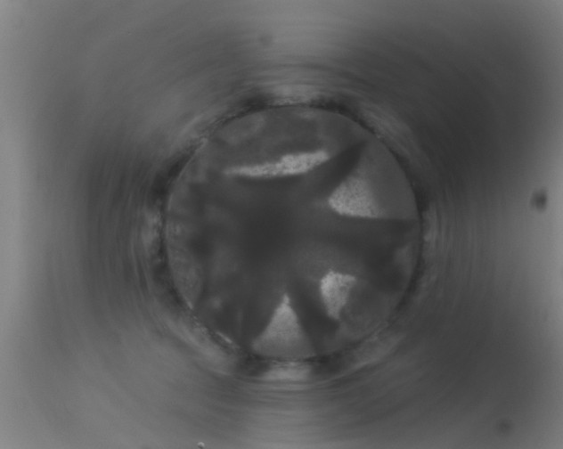 X0000114180369200910151707