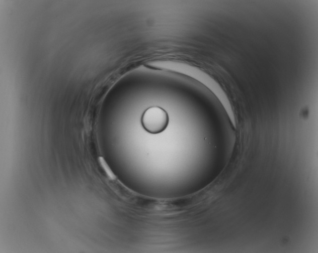 X0000114180372200910151707