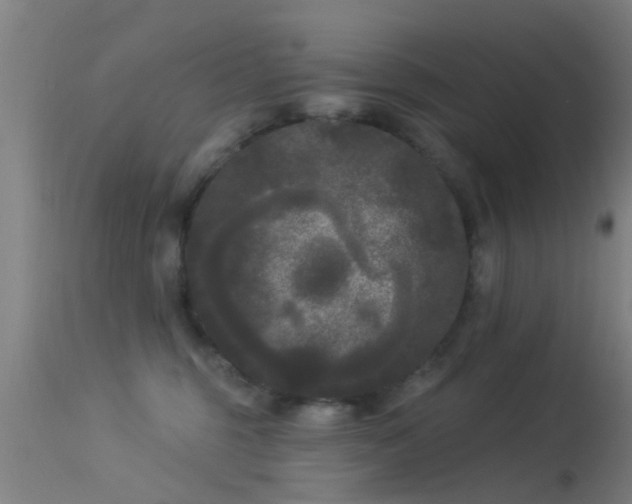 X0000114180375200910151707