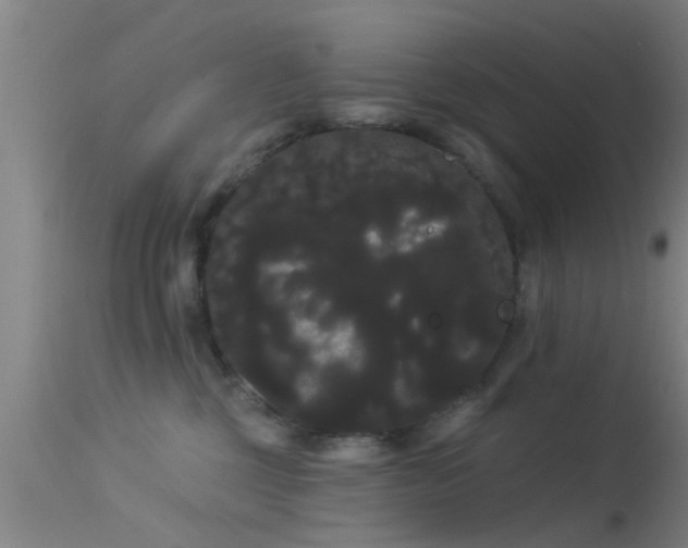 X0000114180377200910151707