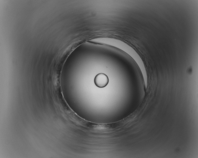 X0000114180380200910151707