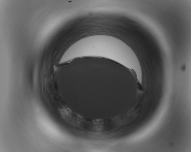 X0000114180382200910151707