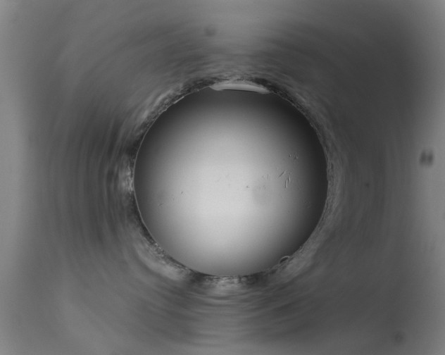 X0000114180384200910151707