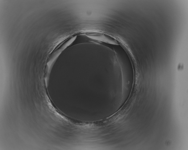 X0000114180385200910151706