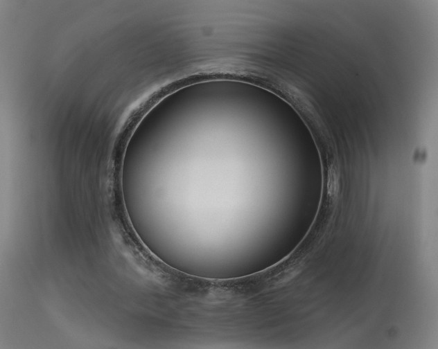 X0000114180388200910151706