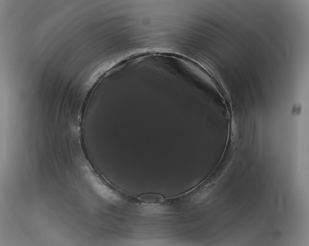 X0000114180389200910151706