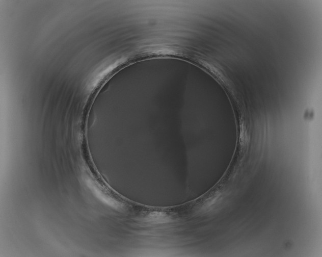 X0000114180390200910151706