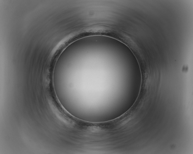 X0000114180392200910151706