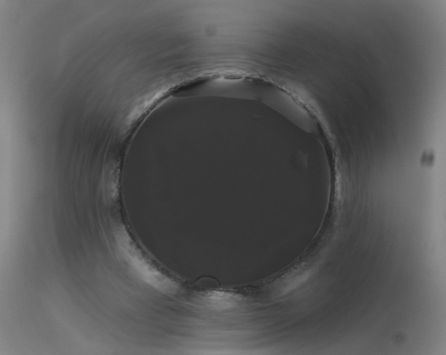 X0000114180393200910151706