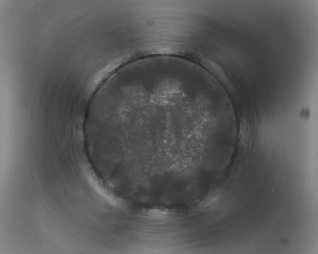 X0000114180394200910151706