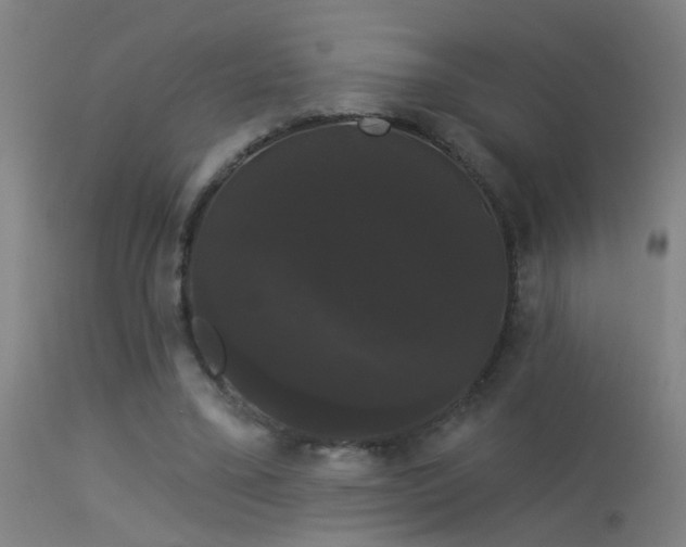 X0000114180395200910151706