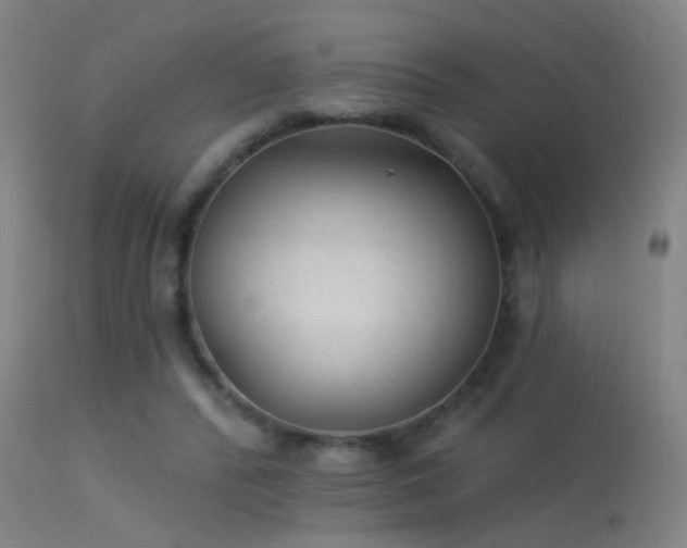 X0000114180400200910151706