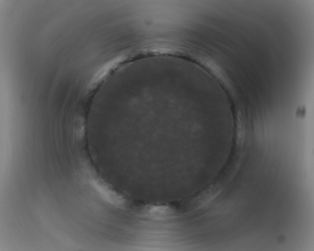 X0000114180401200910151706